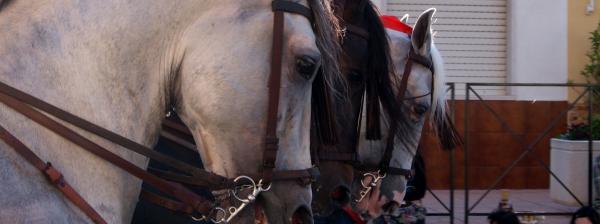 Fiestas de Moros y Cristianos, del 27 al 31 de Mayo