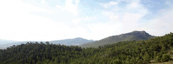 Paisajes y naturaleza