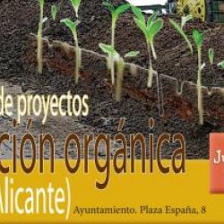 ENCUENTRO DE PROYECTOS: TRANSICIÓN ORGÁNICA 