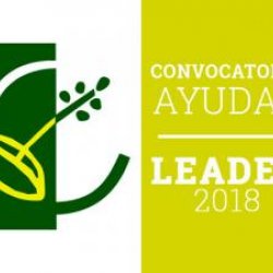 AYUDAS A LAS PEQUEÑAS EMPRESAS Y PEQUEÑAS INDUSTRIAS AGROALIMENTARIAS EN ZONAS RURALES