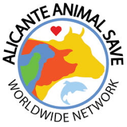 CHARLA ANTIESPECISTA POR PARTE DE LA ORGANIZACIÓN ALICANTE ANIMAL SAVE