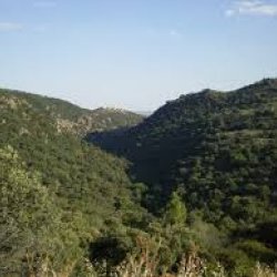 RUTA DE LIMPIEZA Y RECOGIDA DE PLÁSTICO Y CARTONES