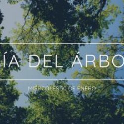 SALINAS CELEBRA EL DÍA DEL ÁRBOL