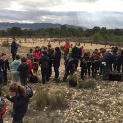 SALINAS CELEBRA EL DÍA DEL ÁRBOL 2019 EN LA ERMITA NUEVA