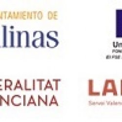 RESULTADOS DE LA 1ª FASE DEL PROCESO SELECTIVO DE PERSONAL DIRECTIVO Y DOCENTE DEL TALLER DE EMPLEO "ALBAÑILERÍA SALINAS-III 2018"