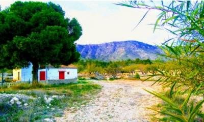 RUTA CAVA NEGRA, VEREDA DEL CONDE Y CUEVA BORJA JUNTO A LA ASOCIACIÓN DE VECINOS RUTA CAVA NEGRA, VEREDA DEL CONDE Y CUEVA BORJA JUNTO A LA ASOCIACIÓN DE VECINOS