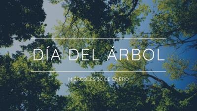 SALINAS CELEBRA EL DÍA DEL ÁRBOL